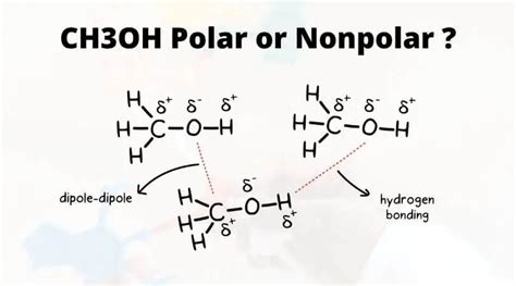 Is ch3oh polar - Chemistry questions and answers. Question 3 17 points Saved Explain why hexane is soluble in methanol but insoluble in water. Like dissolves like; hexane is non polar it is soluble in methanol that has a non-polar hydrocarbon section, CH3OH; and it is not soluble in waster that is very polar H-O-H. Like dissolves like; hexane is non-polar it is ... 